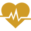Cardiogram and Heart