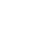 G+ Icon