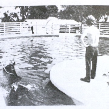 1974