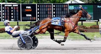 Harness driver and standardbred horse crossing the finish line at Saratoga Casino Hotel