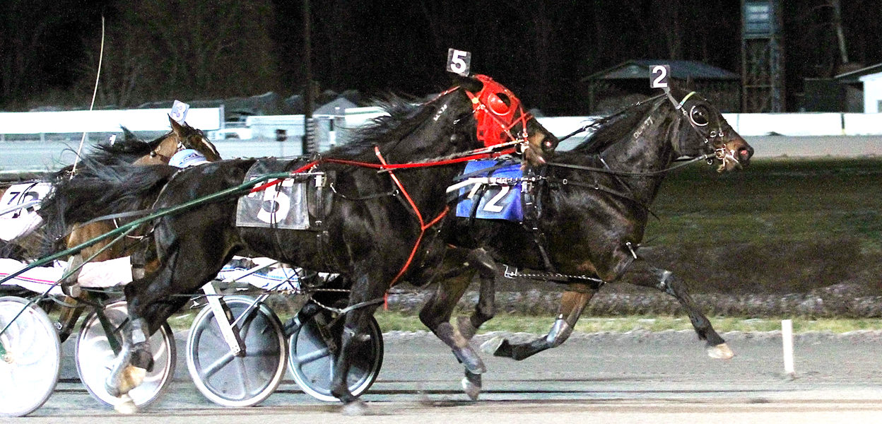 Riverofroyalty & Frank Coppola Jr