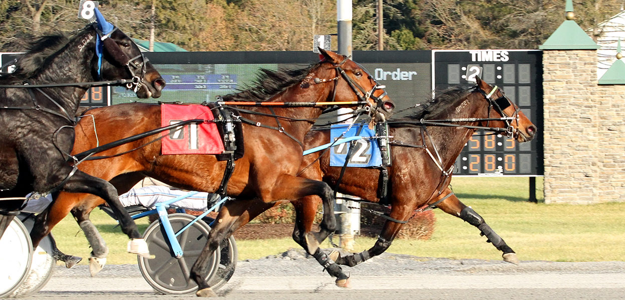 Cartier Volo & Frank Coppola