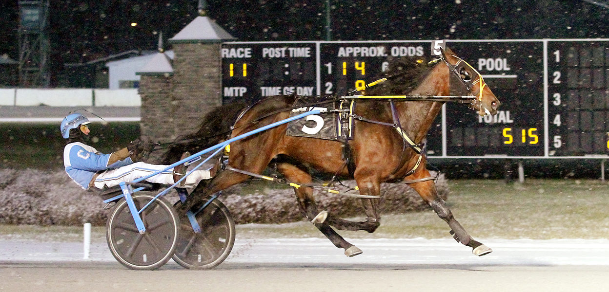 Artful Way & Frank Coppola