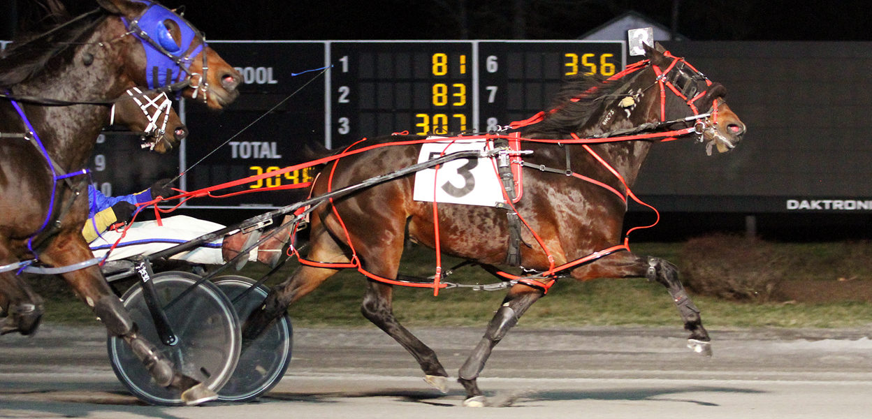 Betabcool N & Bruce Aldrich Jr