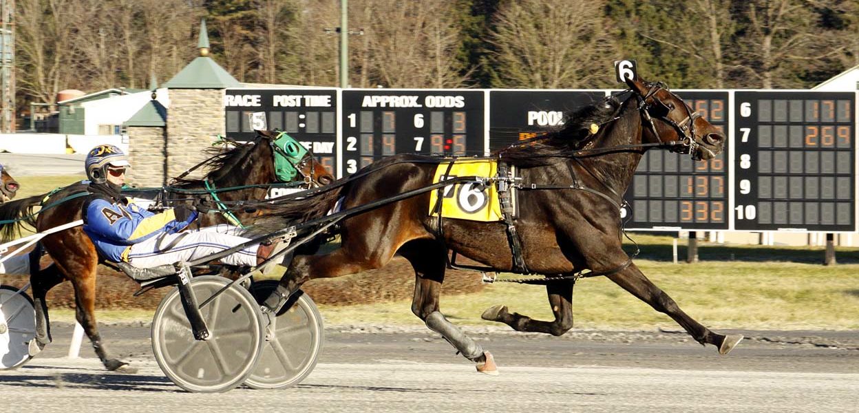 New Heaven & Bruce Aldrich, Jr