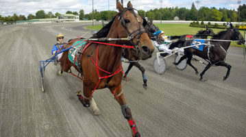 View of harness race from the starting gate truck