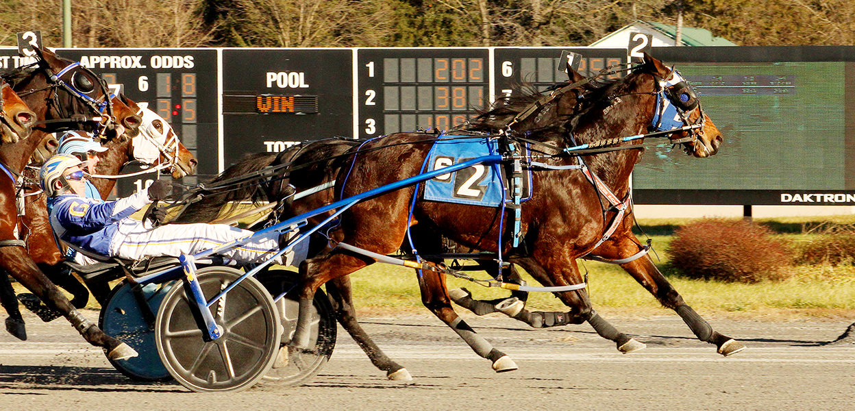 All SPeed Rising & Shawn Gray