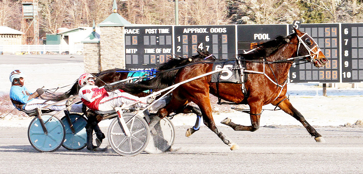 Big Box Hanover & Larry Stalbaum