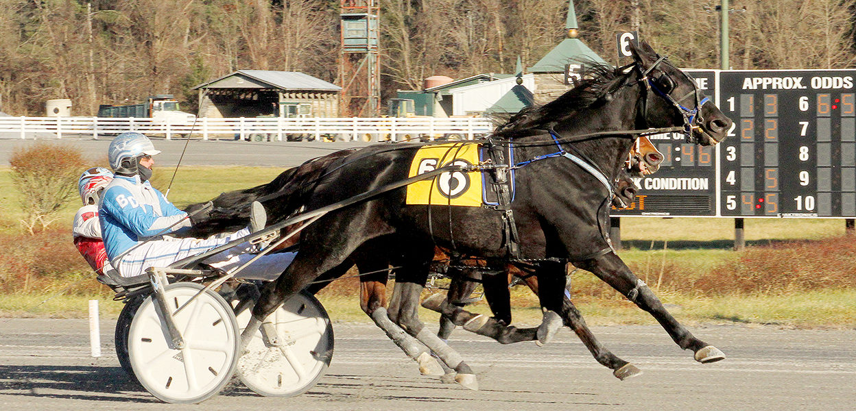 Squee Hanover & Billy Dobson