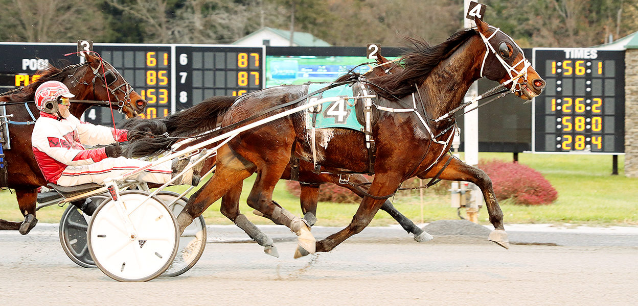 Big Box Hanover & Larry Stalbaum